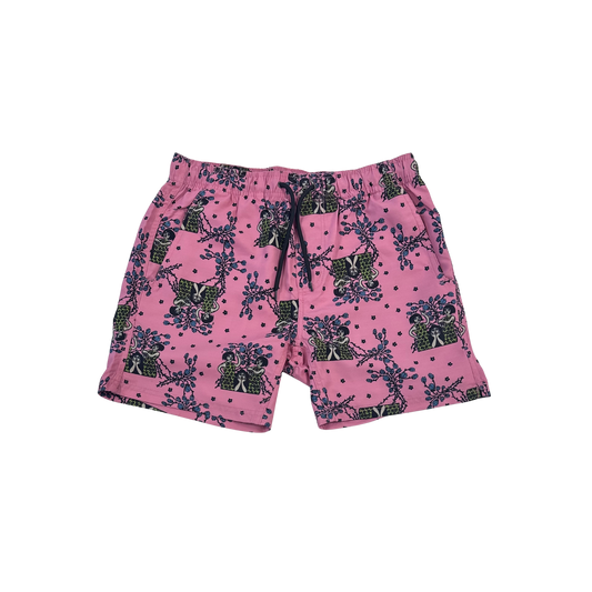 Inappropriate Board Shorts